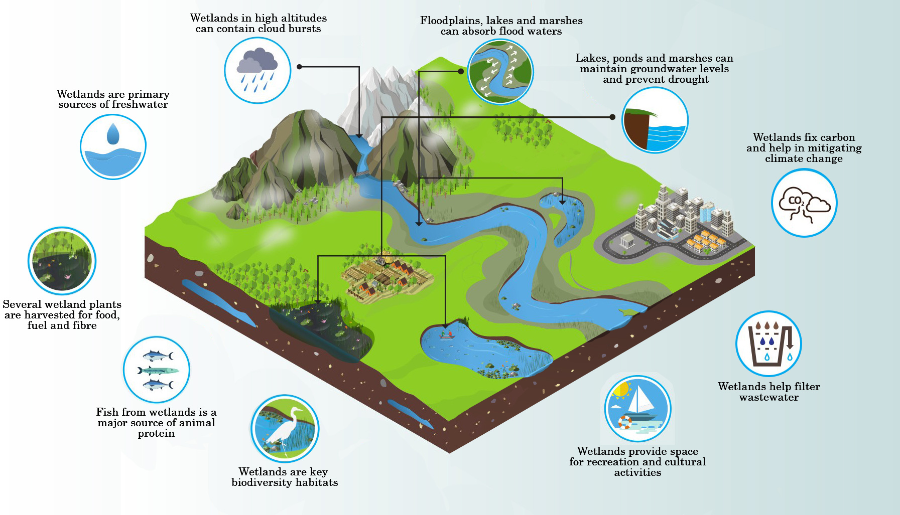 Wetland-Resilience