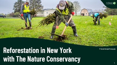 Data Deep Dive: Exploring Statewide & Chesapeake Bay Resources for Your Community