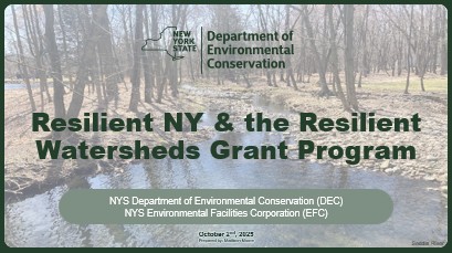 Flood Resilience Opportunities: Resilient NY & the Resilient Watersheds Grant