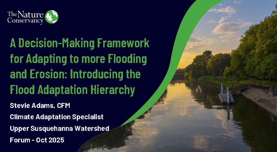 A Decision-making Framework for Adapting to more Flooding and Erosion: Introducing the Flood Adaptation Hierarchy