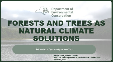 Data Deep Dive: Exploring Statewide & Chesapeake Bay Resources for Your Community