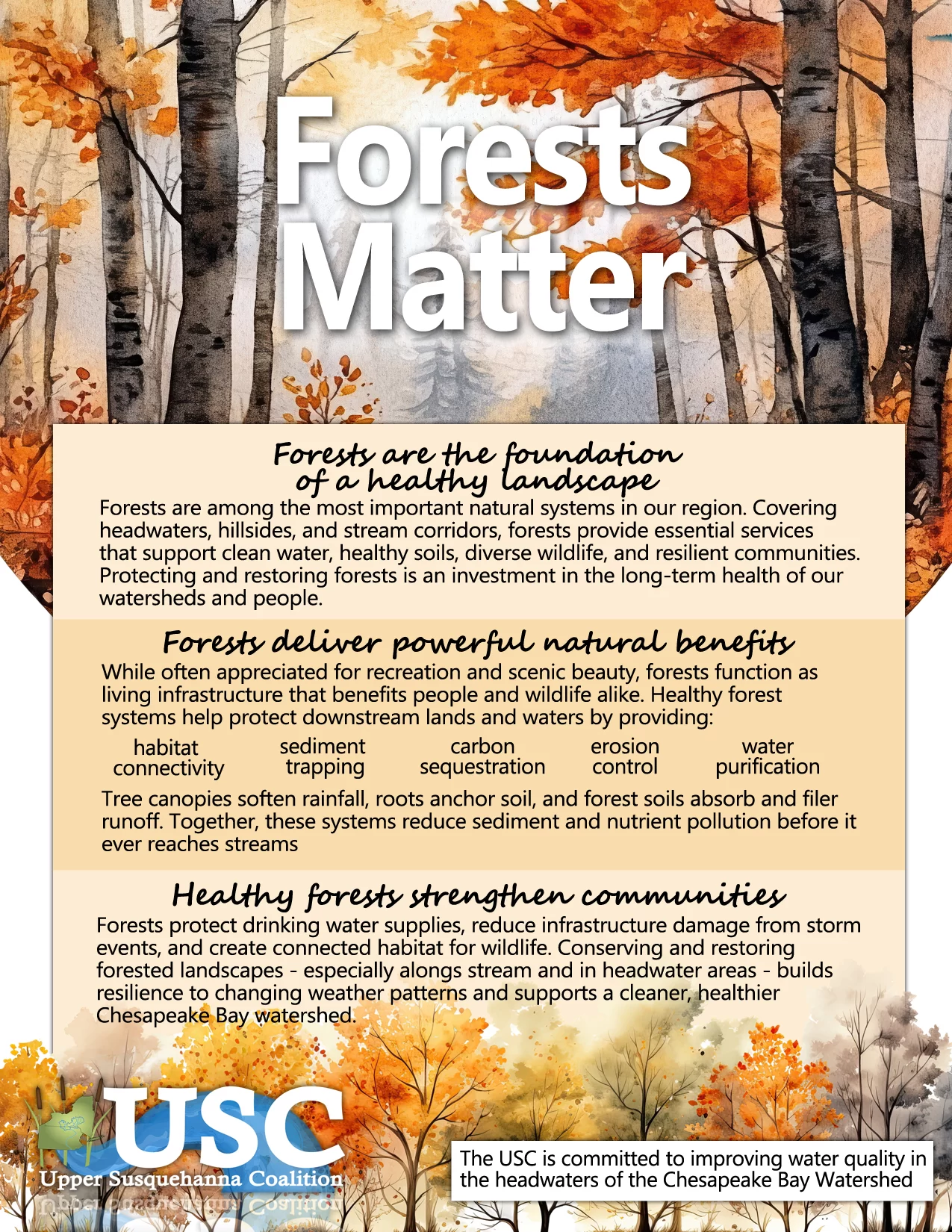 Forests Matter Flyer