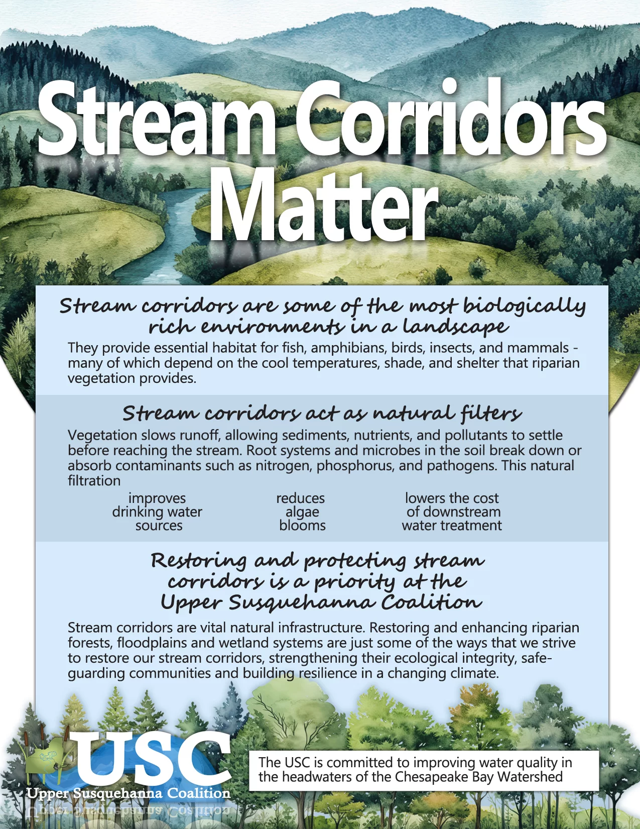 Stream Corridor Flyer