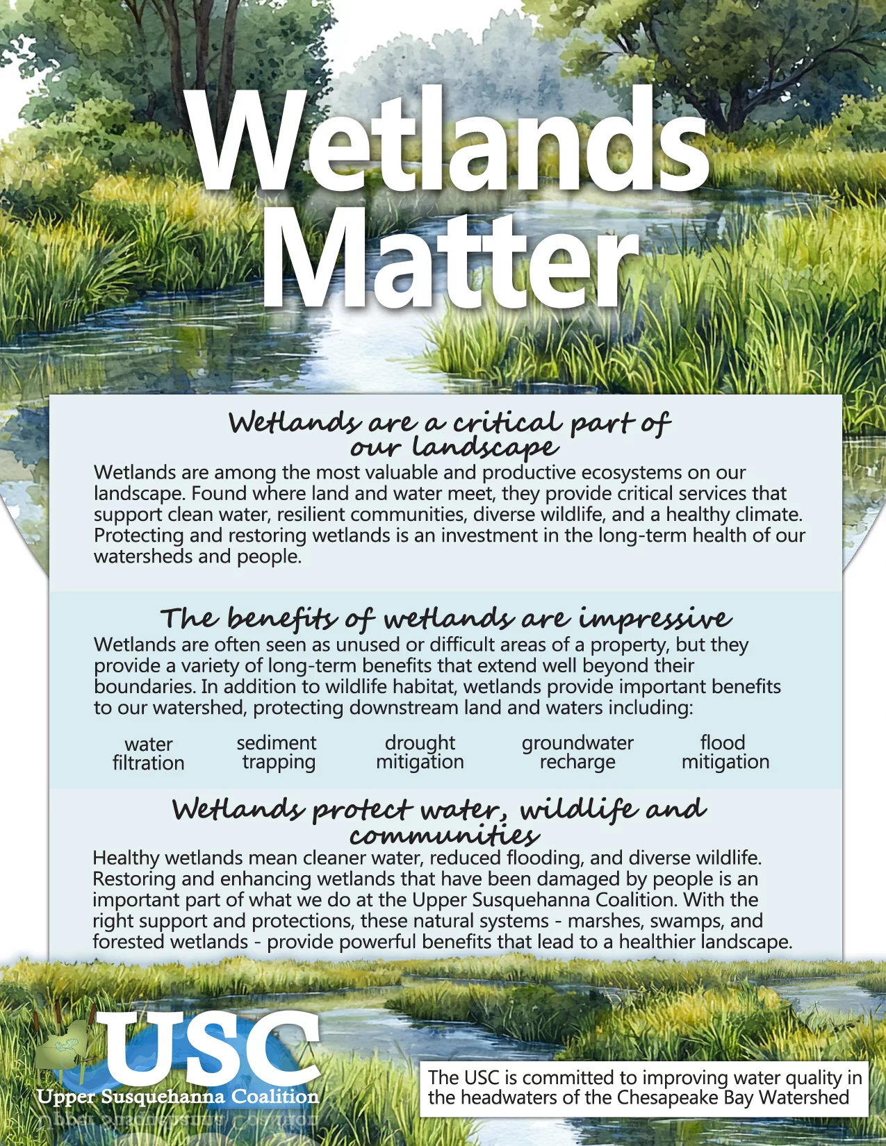 Wetlands Matter Flyer